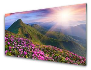 Obraz Szklany Góry Łąka Kwiaty Krajobraz