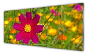 Obraz Szklany Kwiat Roślina Natura