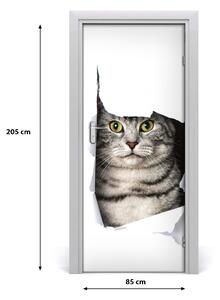 Fototapeta samoprzylepna na drzwi Kot w dziurze