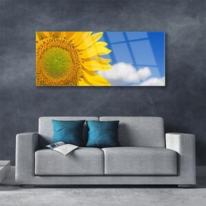 Obraz na Szkle Słonecznik Niebo Chmury