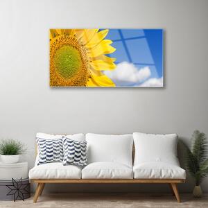 Obraz na Szkle Słonecznik Niebo Chmury