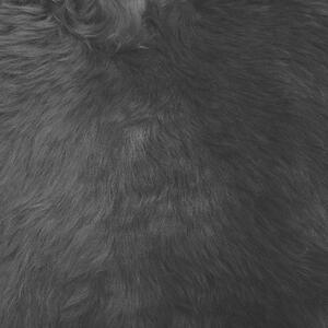 Dywan narzuta skóra owcza włochacz Shaggy czarny Uluru Beliani
