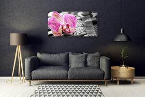 Obraz na Szkle Kwiat Kamienie Orchidea