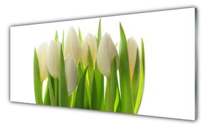 Obraz na Szkle Tulipany Roślina Natura