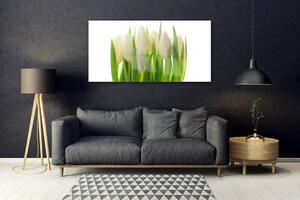 Obraz na Szkle Tulipany Roślina Natura