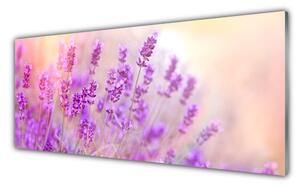 Obraz Szklany Lawendowe Pole Słońce Kwiaty