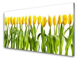 Obraz Szklany Tulipany Kwiaty Natura