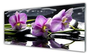 Obraz na Szkle Kwiat Orchidea Roślina