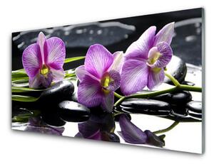 Obraz na Szkle Kwiat Orchidea Roślina