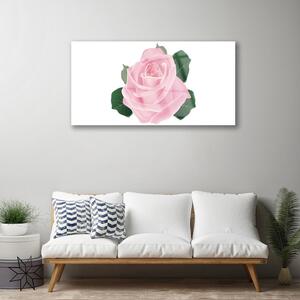Obraz na Szkle Róża Kwiat Roślina Natura