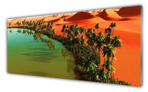 Obraz Szklany Jezioro Pustynia Palmy