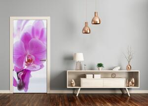 Okleina Naklejka fototapeta na drzwi Różowa orchidea