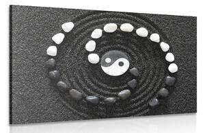 Obraz harmonijne Yin i Yang