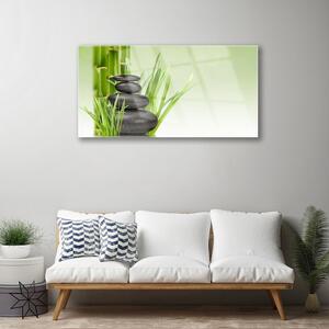 Obraz Szklany Bambus Trawa Roślina Natura