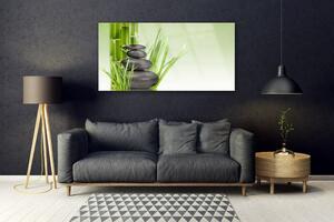 Obraz Szklany Bambus Trawa Roślina Natura