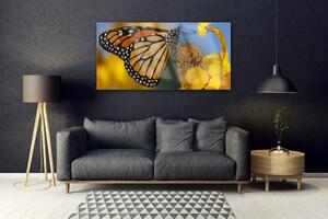 Obraz Szklany Motyl Kwiat Przyroda