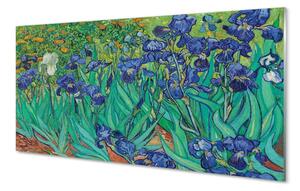 Obraz na szkle Irysy - Vincent van Gogh