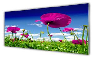 Obraz Szklany Łąka Kwiaty Niebo Przyroda