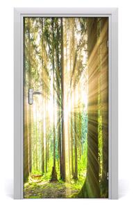 Naklejka fototapeta na drzwi Słońce w lesie