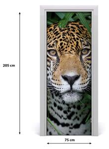 Fototapeta samoprzylepna na drzwi Jaguar w amazoni