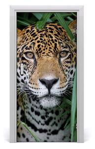 Fototapeta samoprzylepna na drzwi Jaguar w amazoni