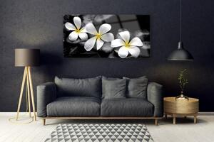 Obraz na Szkle Kwiat Plumeria Roślina
