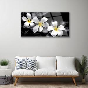 Obraz na Szkle Kwiat Plumeria Roślina