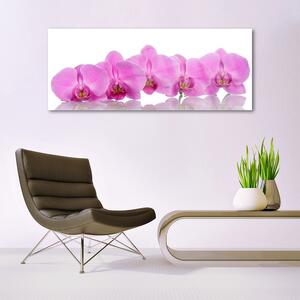 Obraz Szklany Różowa Orchidea Kwiaty
