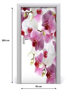 Nalepka Naklejka fototapeta na drzwi Orchidea