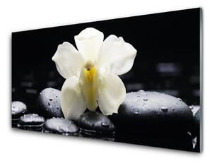 Obraz Szklany Kwiat Orchidea Roślina