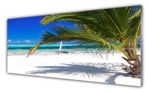 Obraz Szklany Plaża Palma Krajobraz