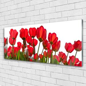 Obraz na Szkle Kwiaty Na Ścianę