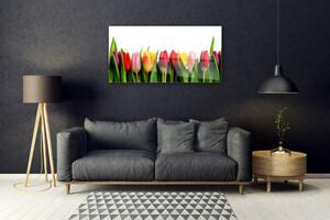 Obraz na Szkle Tulipany Roślina