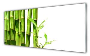 Obraz na Szkle Bambus Roślina