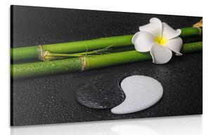 Obraz martwa natura w spa oraz kamienie Yin i Yang