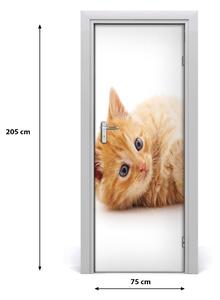 Naklejka samoprzylepna na drzwi Mały rudy kot