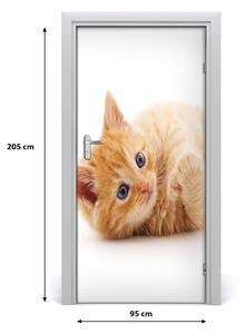 Naklejka samoprzylepna na drzwi Mały rudy kot