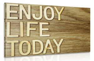Obraz z cytatem - Enjoy life today