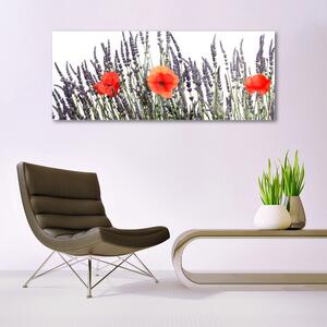 Obraz Szklany Kwiaty Maki Pole Trawy