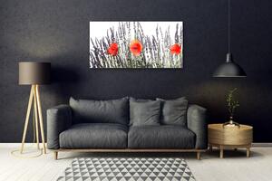 Obraz Szklany Kwiaty Maki Pole Trawy