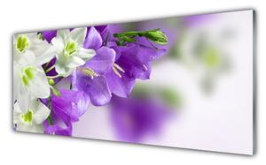 Obraz na Szkle Kwiaty Roślina Natura