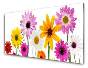Obraz Szklany Kolorowe Kwiaty Natura