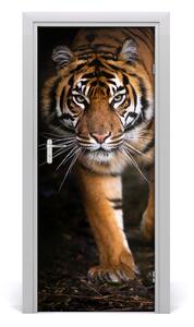 Fototapeta samoprzylepna na drzwi Tygrys
