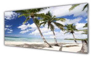 Obraz na Szkle Morze Plaża Palma Krajobraz