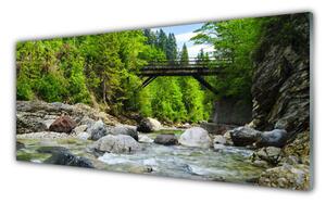 Obraz Szklany Drewniany Most w Lesie