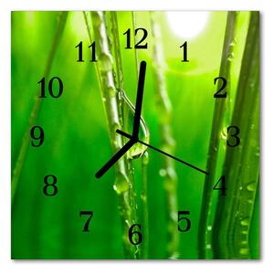 Zegar ścienny kwadrat Krople trawy