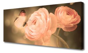 Obraz Canvas Motyl Róże Przyroda