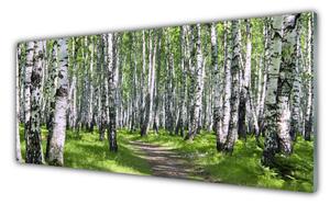 Obraz na Szkle Las Ścieżka Natura Drzewa