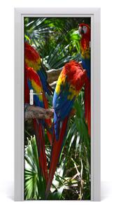 Naklejka samoprzylepna na drzwi Papugi Ary