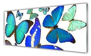Obraz na Szkle Motyle Natura